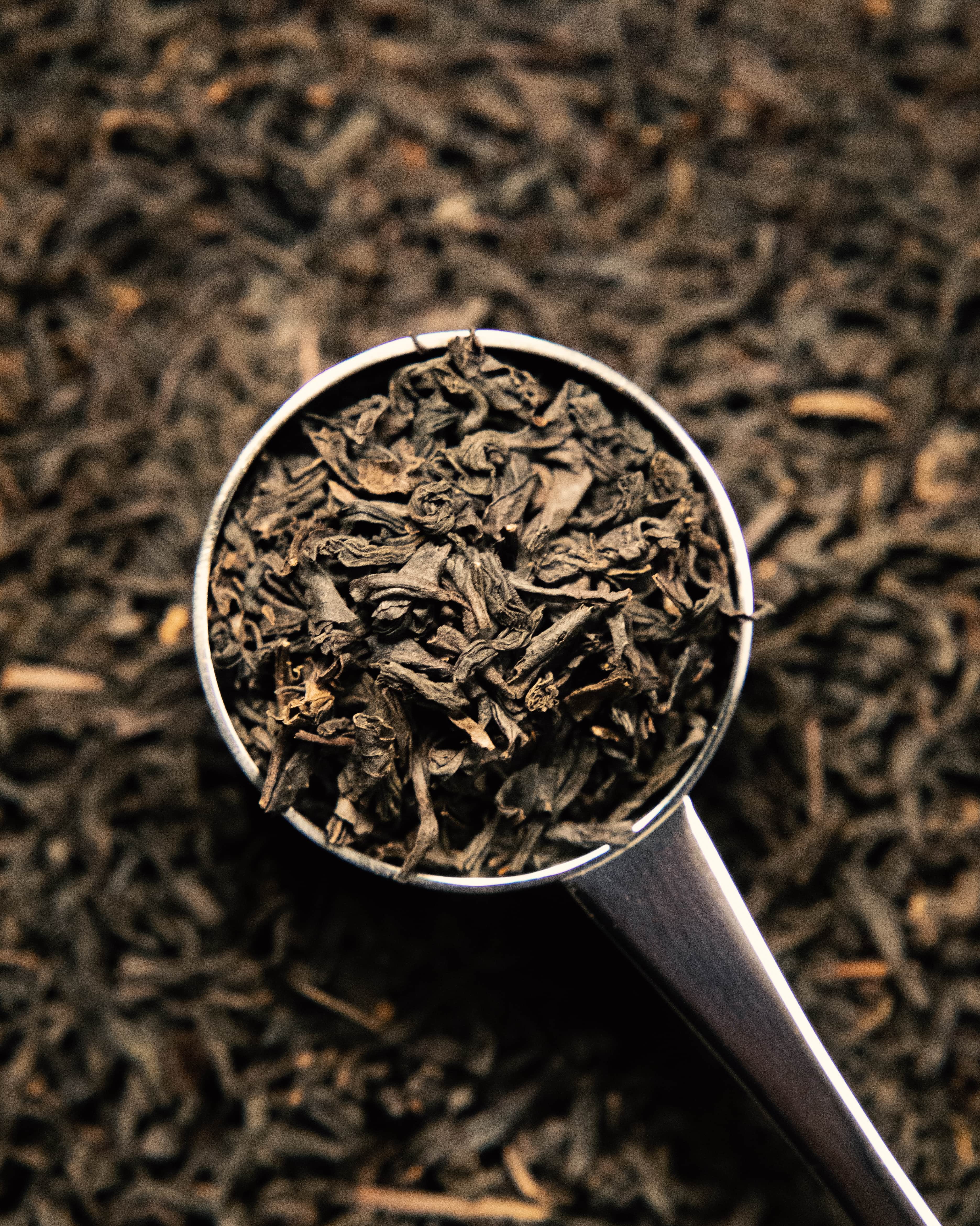 Lapsang souchong