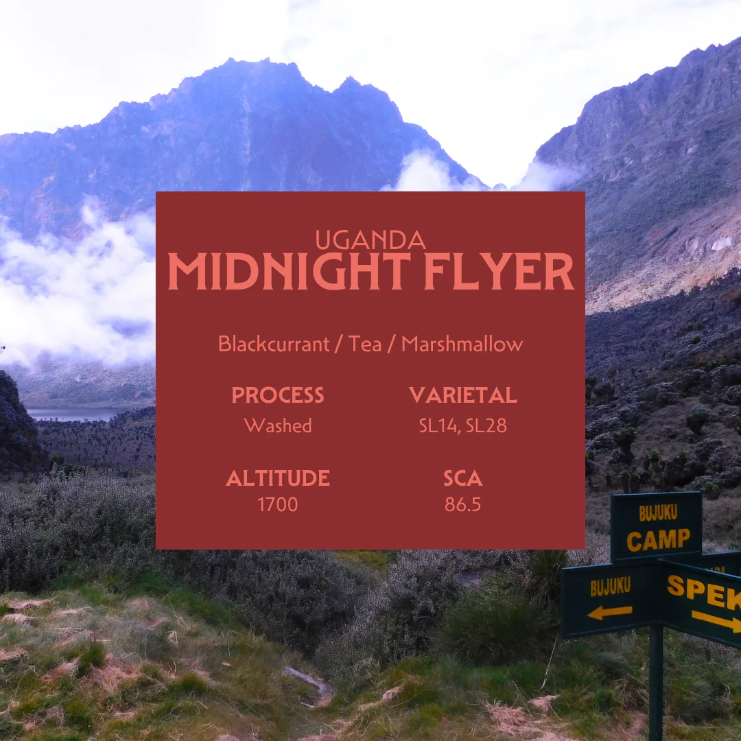 Midnight Flyer - Image 2