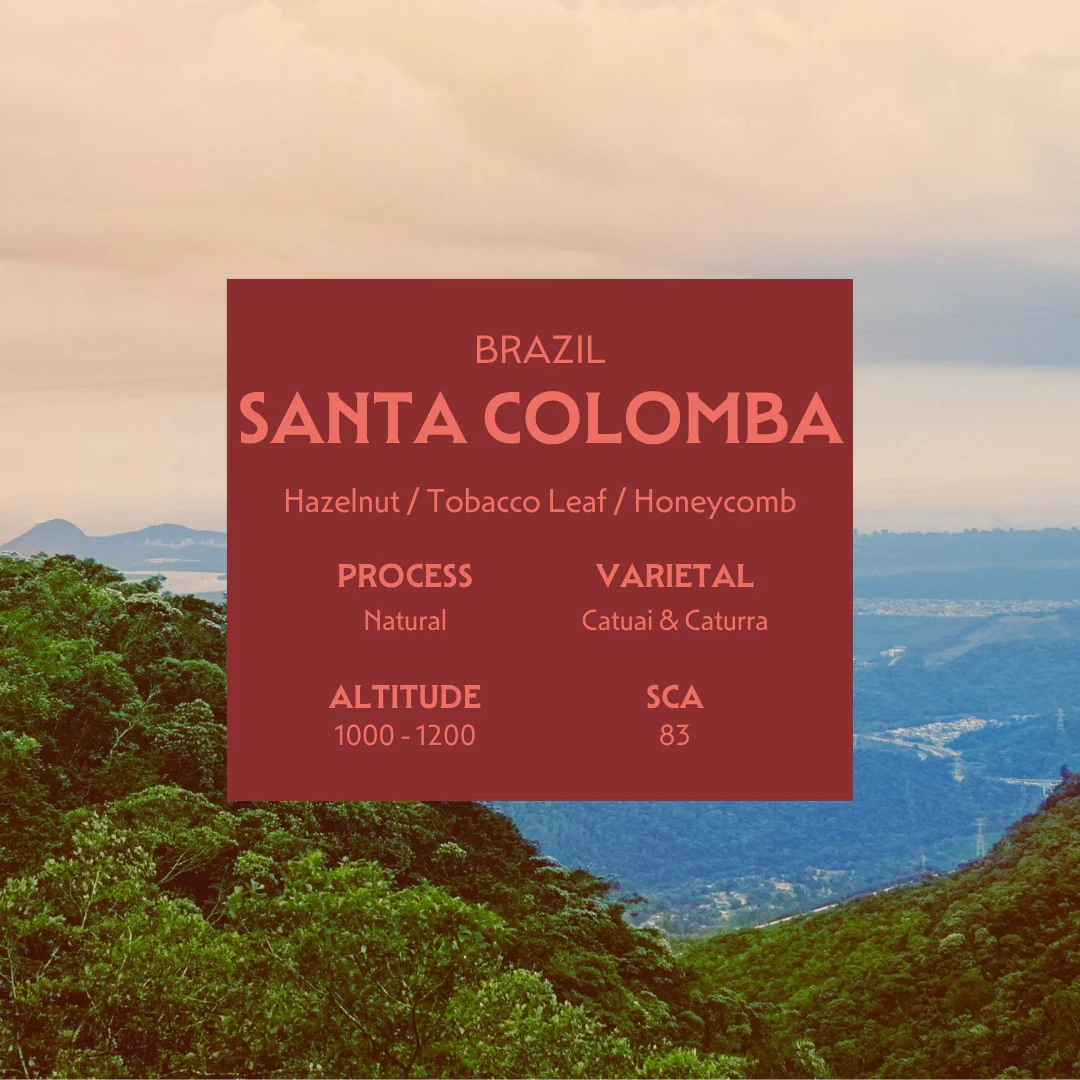 Santa Colomba - Image 2